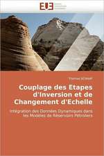 Couplage Des Etapes D''Inversion Et de Changement D''Echelle: Etude Anthropologique