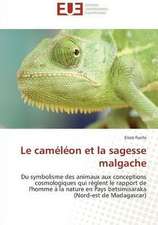 Le caméléon et la sagesse malgache