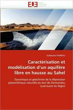 Caracterisation Et Modelisation D Un Aquifere Libre En Hausse Au Sahel: La Douleur Sur Le Ruban de Moebius Du Moi