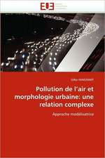 Pollution de L'Air Et Morphologie Urbaine: Une Relation Complexe