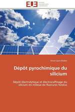 Depot Pyrochimique Du Silicium: Etudes Invivo, Invitro Et Moleculaire