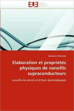 Elaboration Et Proprietes Physiques de Nanofils Supraconducteurs