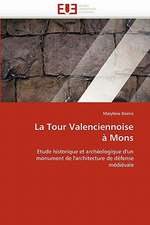 La Tour Valenciennoise a Mons