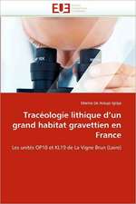 Traceologie Lithique D''Un Grand Habitat Gravettien En France