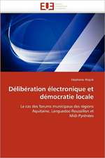 Deliberation Electronique Et Democratie Locale: de La Propriete A L''Application