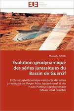 Evolution géodynamique des séries jurassiques du Bassin de Guercif