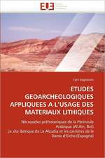 Etudes Geoarcheologiques Appliquees A L''Usage Des Materiaux Lithiques