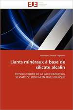 Liants Mineraux a Base de Silicate Alcalin