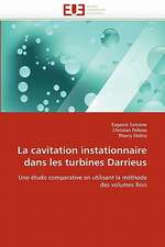 La Cavitation Instationnaire Dans Les Turbines Darrieus