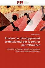 Analyse du développement professionnel par le sens et par l'efficience