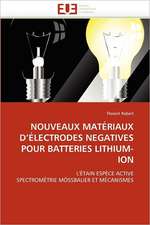 NOUVEAUX MATÉRIAUX D¿ÉLECTRODES NEGATIVES POUR BATTERIES LITHIUM-ION