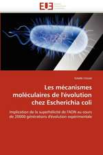 Les mécanismes moléculaires de l'évolution chez Escherichia coli