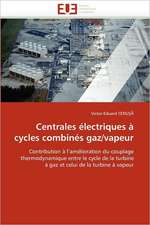 Centrales électriques à cycles combinés gaz/vapeur