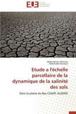 Etude A L'Echelle Parcellaire de La Dynamique de La Salinite Des Sols