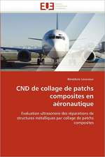 CND de collage de patchs composites en aéronautique