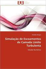 Simulação de Escoamentos de Camada Limite Turbulenta