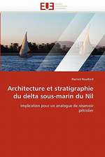 Architecture et stratigraphie du delta sous-marin du Nil