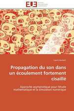 Propagation Du Son Dans Un Ecoulement Fortement Cisaille: Figures Du Francais Et Du Noir Dans La Litterature