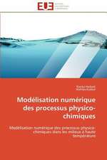 Modelisation Numerique Des Processus Physico-Chimiques