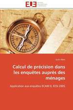 Calcul de Precision Dans Les Enquetes Aupres Des Menages