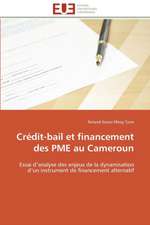 Credit-Bail Et Financement Des Pme Au Cameroun: Ameliorations Et Applications