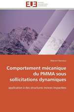 Comportement Mecanique Du Pmma Sous Sollicitations Dynamiques