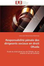 Responsabilite Penale Des Dirigeants Sociaux En Droit Ohada