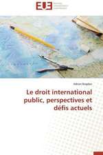 Le Droit International Public, Perspectives Et Defis Actuels