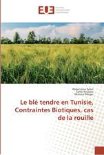 Le blé tendre en Tunisie, Contraintes Biotiques, cas de la rouille