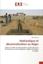 Hydraulique et décentralisation au Niger