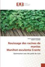 Rouissage des racines de manioc Manihot esculenta Crantz