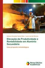 Elevação da Produtividade e Rentabilidade em Alumínio Secundário