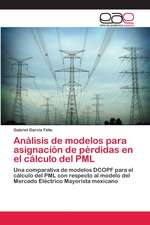 Análisis de modelos para asignación de pérdidas en el cálculo del PML