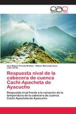 Respuesta nival de la cabecera de cuenca Cachi-Apacheta de Ayacucho