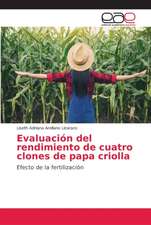 Evaluación del rendimiento de cuatro clones de papa criolla