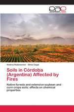 Soils in Córdoba (Argentina) Affected by Fires