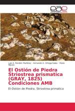 El Ostión de Piedra Striostrea prismatica (GRAY, 1825) Condiciones AMB