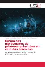 Dinámicas moleculares de primeros principios en cúmulos atómicos