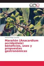 Marañón (Anacardium occidentale) beneficios, usos y propuestas gastronómicas