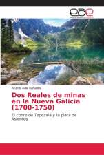 Dos Reales de minas en la Nueva Galicia (1700-1750)