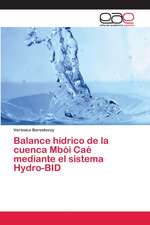 Balance hídrico de la cuenca Mbói Caé mediante el sistema Hydro-BID