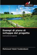 Esempi di piano di sviluppo del progetto