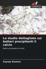 Lo studio dettagliato sui batteri precipitanti il calcio