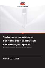 Techniques numériques hybrides pour la diffusion électromagnétique 2D