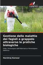 Gestione delle malattie dei fagioli a grappolo attraverso le pratiche biologiche