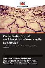 Caractérisation et amélioration d'une argile expansive