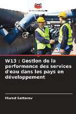 W13 : Gestion de la performance des services d'eau dans les pays en développement