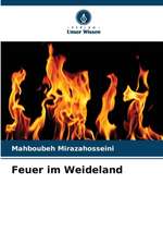 Feuer im Weideland