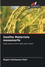 Zeolite Materiale mesomorfo