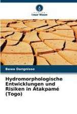 Hydromorphologische Entwicklungen und Risiken in Atakpamé (Togo)